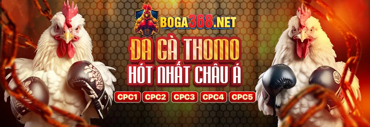 Sòng bạc Trực tuyến rr8686 nhà cái